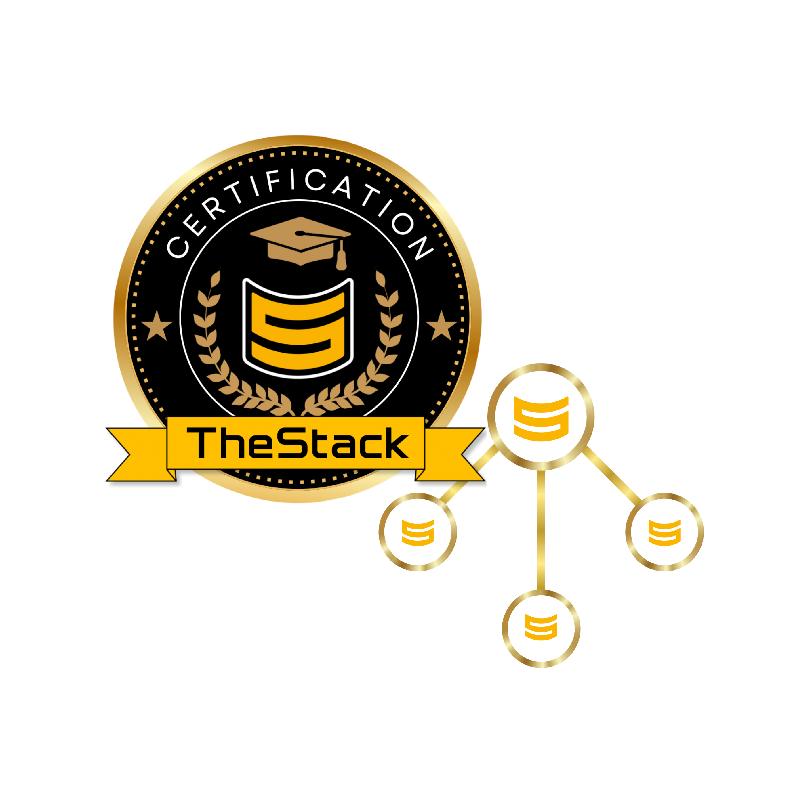 TheStack Certified Course + Coaches License